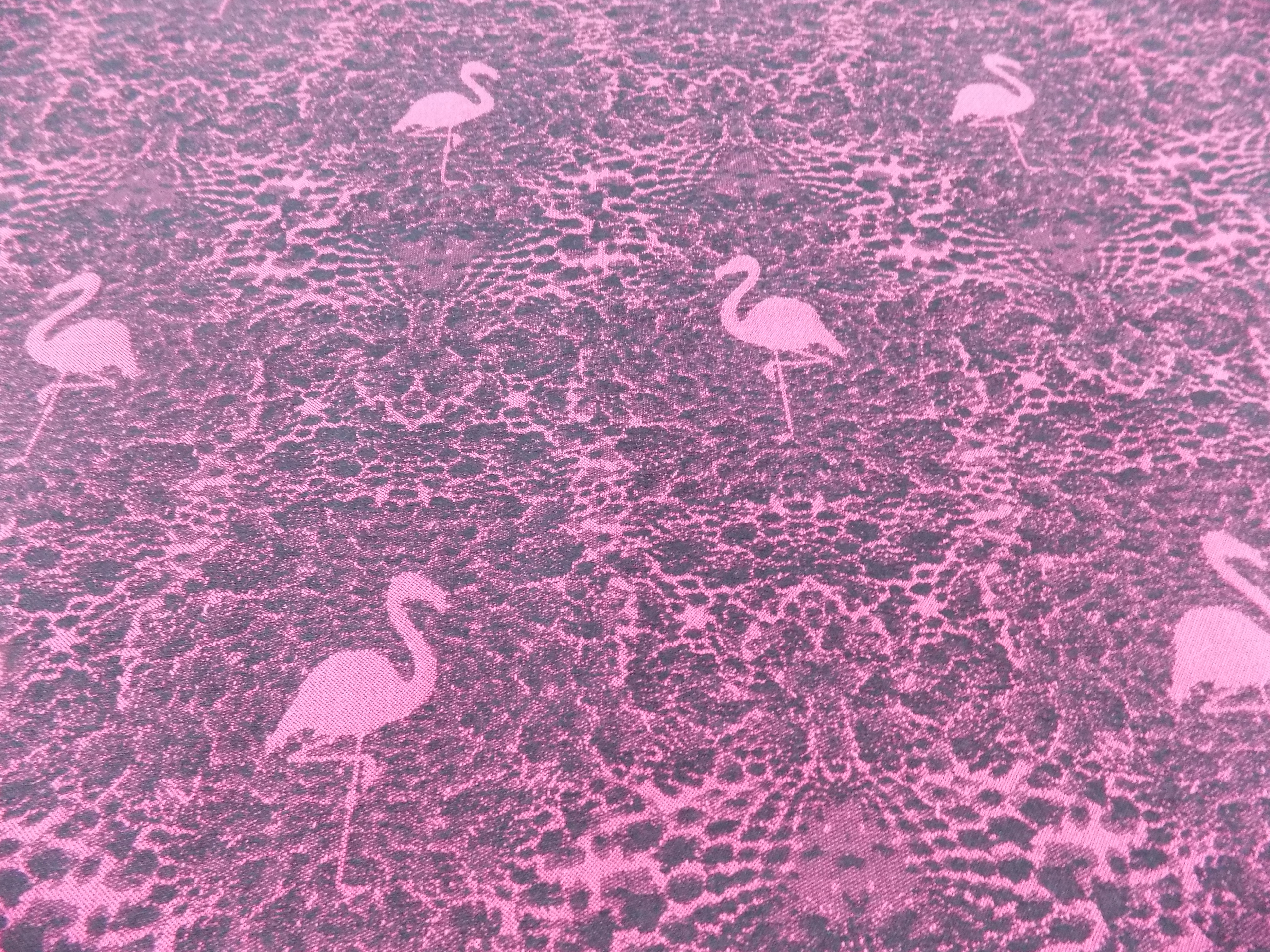 Flamingo (Meterware)